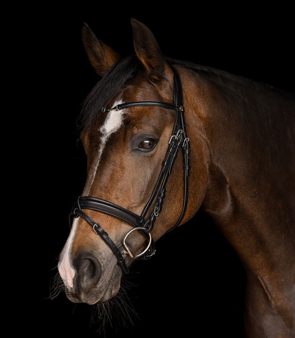 TESTIERA X-LINE BIT Testiera 